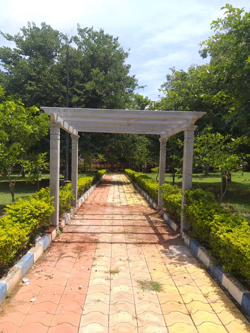 Pergola — Reference 8